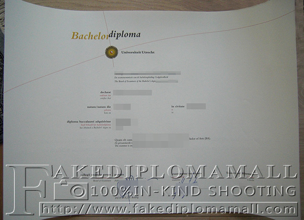 Utrecht University degree, Utrecht University diploma