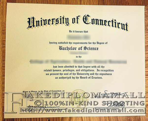 University of Connecticut degree, University of Connecticut diploma