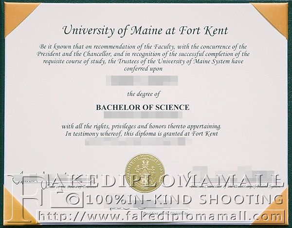 University of Maine bachelor degree, University of Maine diploma certificate