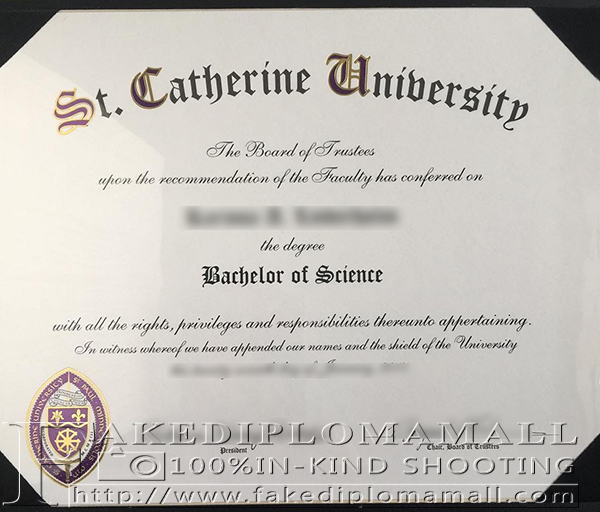 20190920154128 5d84f328d96f6 How to Buy Fake St. Catherine University Degree Certificate?