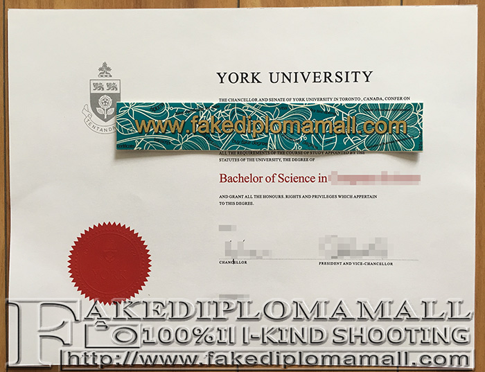 York University degree certificate