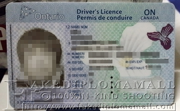g license driving test ontario