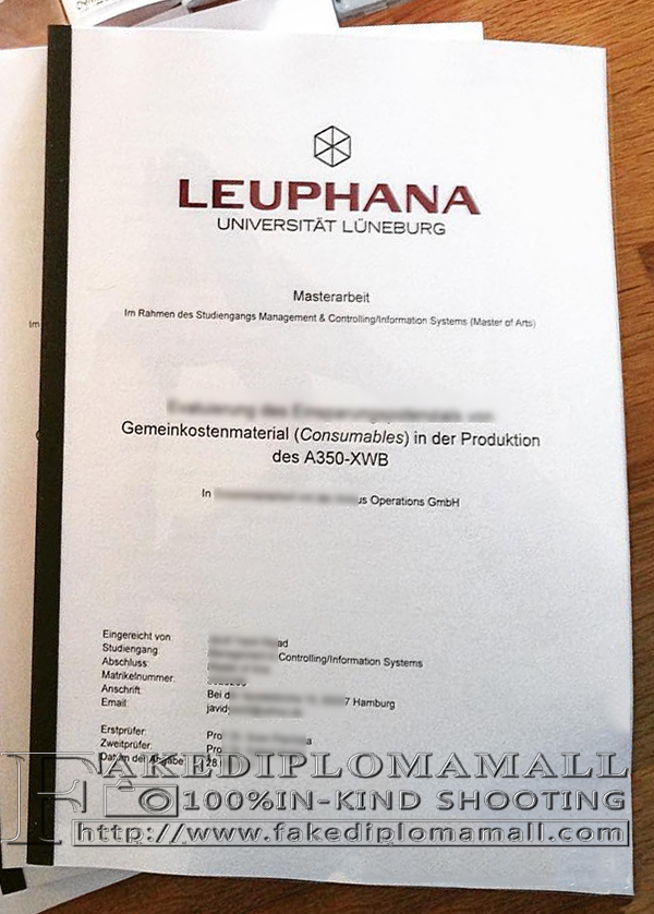 Universität Lüneburg diploma, Universität Lüneburg degree