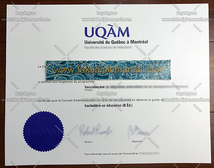 Université du Québec à Montréal degree certificate
