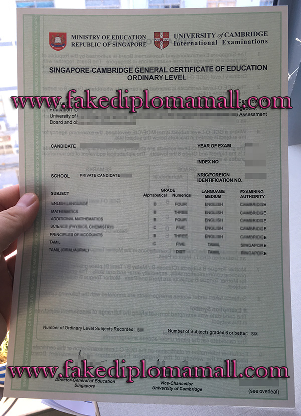 20190920162111 5d84fc7723ad1 Where to Buy the Singapore Cambridge GCE O Level Transcript?