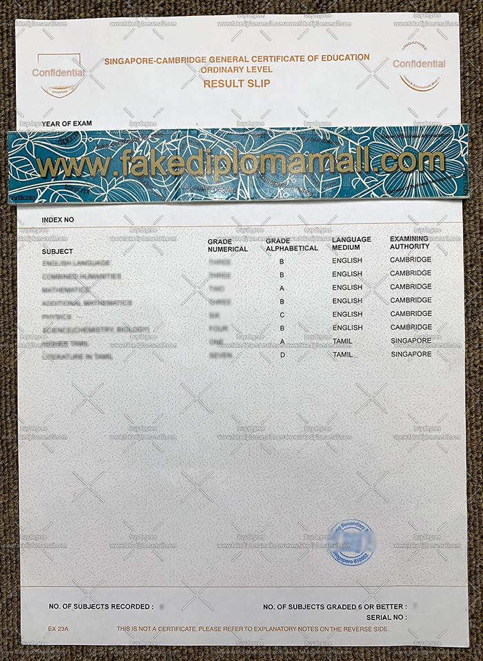 Fake Singapore GCE A Level certificate Result Slip | Best ...