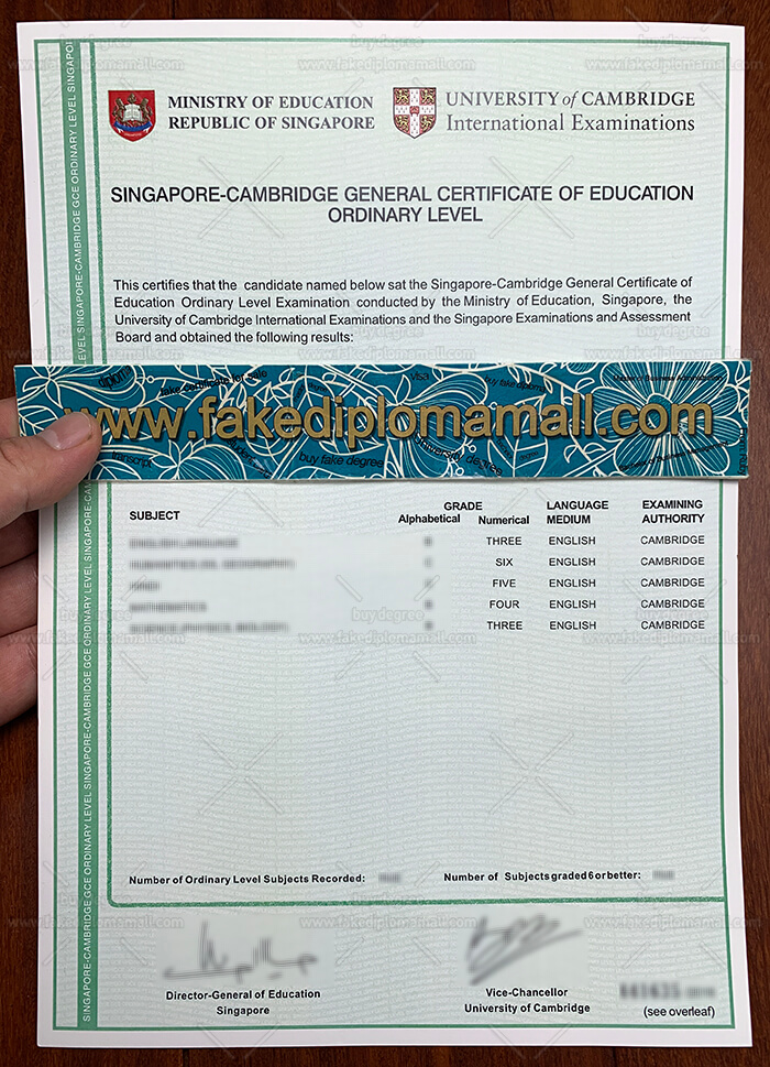 How To Buy A Fake Singapore GCE O Level Certificate Online Best Site 