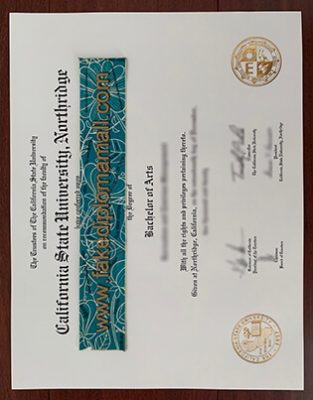 CSU Northridge Fake Degree 313x400 Samples