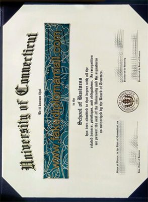 University of Connecticut Business Degree 294x400 Samples