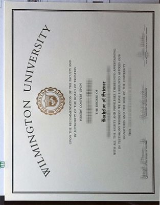 Wilmington University Degree Certificate 313x400 Samples