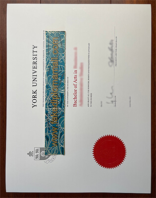 York University BA Degree Certificate Home